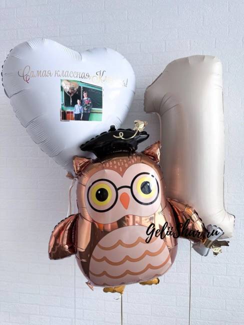 Композиция из шаров Сова знаний