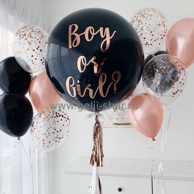 Композиция из шаров Boy or Girl?