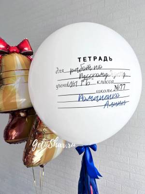 Набор шаров Школьная тетрадь