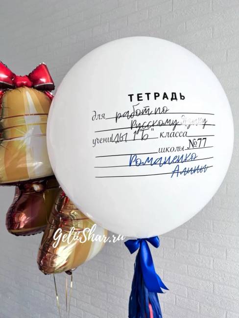 Набор шаров Школьная тетрадь