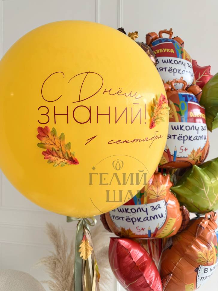 Композиция из шаров Ученик